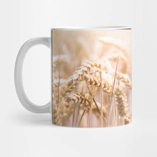 Summer Corn Mug